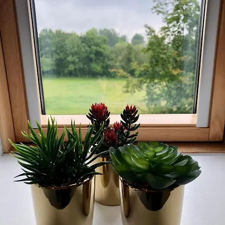 Le De La Madeleine *